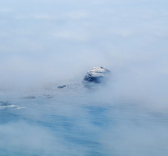 Foto: Richard Price (https://unsplash.com/ acesso em 29/10/2018).