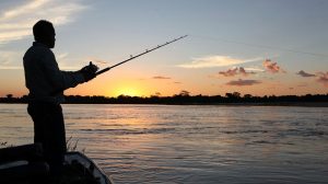 Notícias sobre pesca amadora