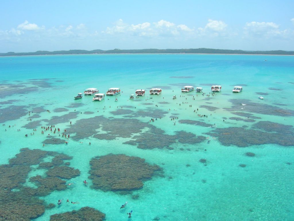 Top 10 – Melhores Praias do Nordeste Brasileiro: Praia do Patacho, São Miguel dos Milagres (AL)
