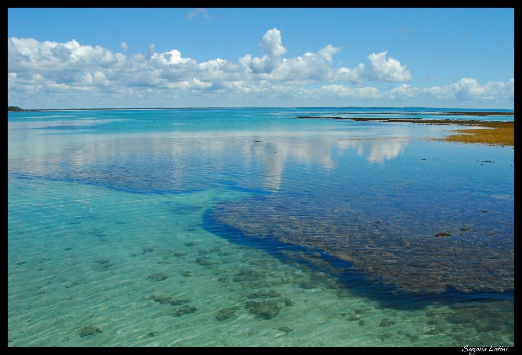 Top 10 – Melhores Praias do Nordeste Brasileiro: Moreré, Ilha de Boipeba (BA)