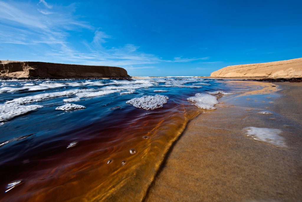 Conheça os 7,4 mil km de belezas naturais do litoral brasileiro: Conceição da Barra - Itaúnas (ES)