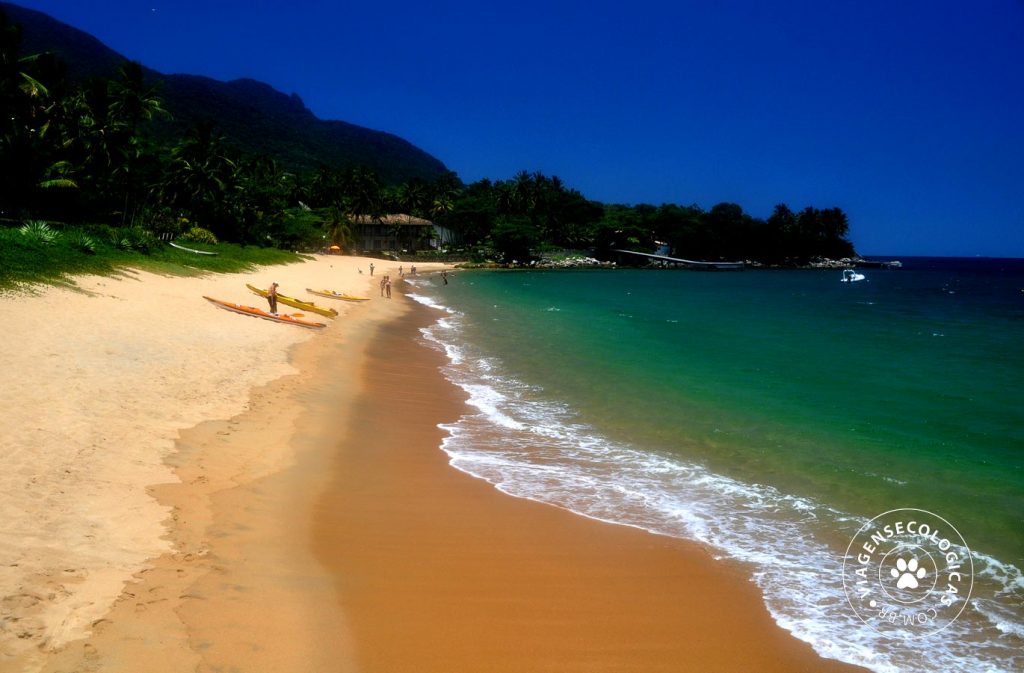 As 7 Melhores Praias de São Paulo: Feiticeira – Ilhabela